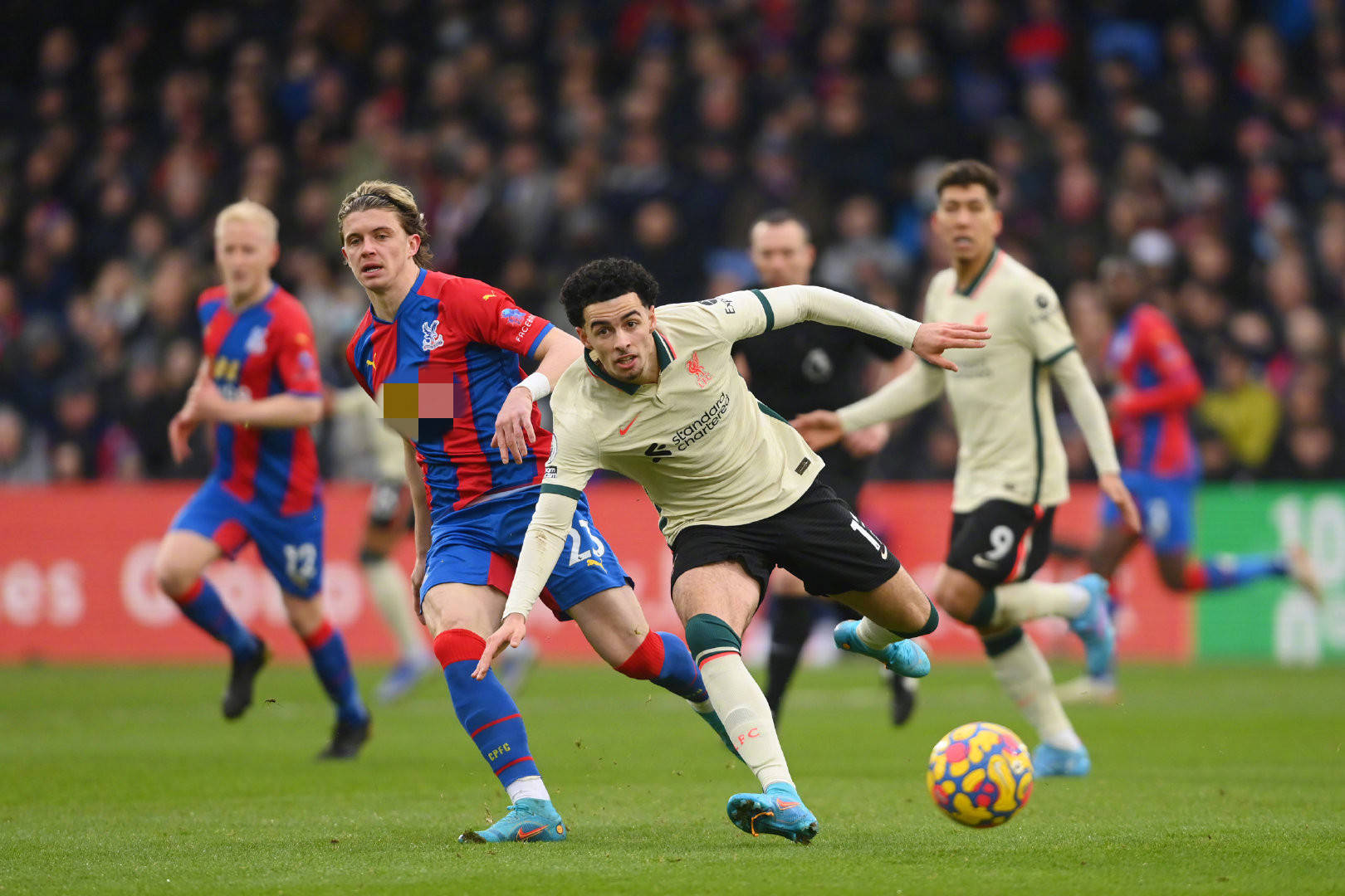 动了这一潜 动了这一潜