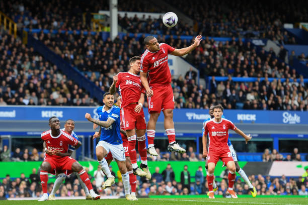 拼搏的成果 拼搏的成果