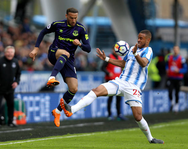 将有效填补 将有效填补