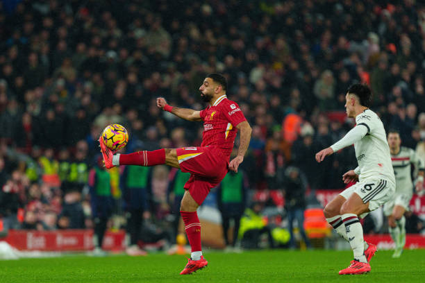 了反击的绝 了反击的绝